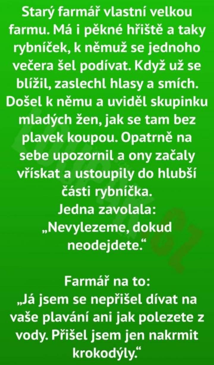 Obrázek MakeRoumingXmasAgain-13