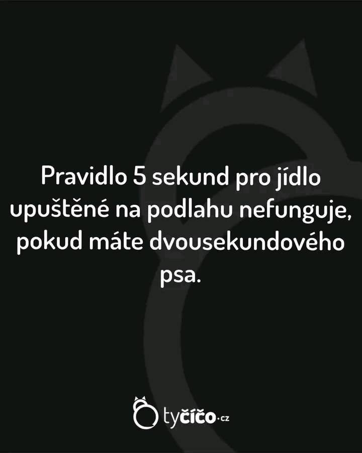 Obrázek MakeRoumingXmasAgain-14