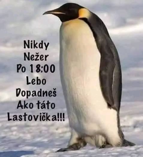 Obrázek MakeRoumingXmasAgain-24