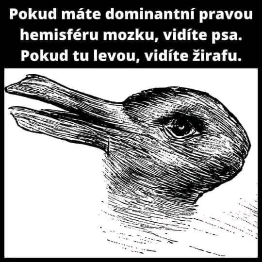 Obrázek MakeRoumingXmasAgain-28