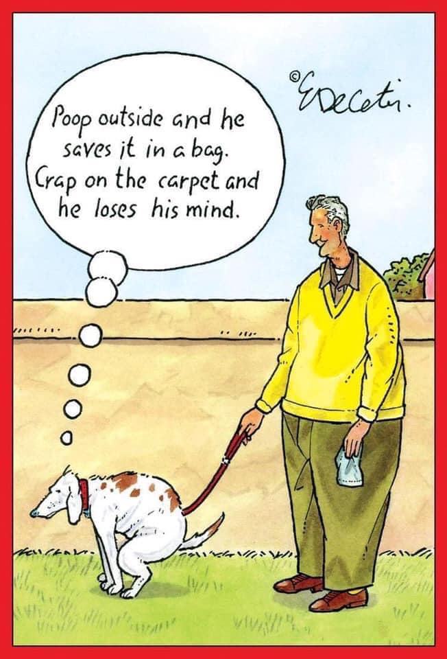 Obrázek Makes no sense to a dog