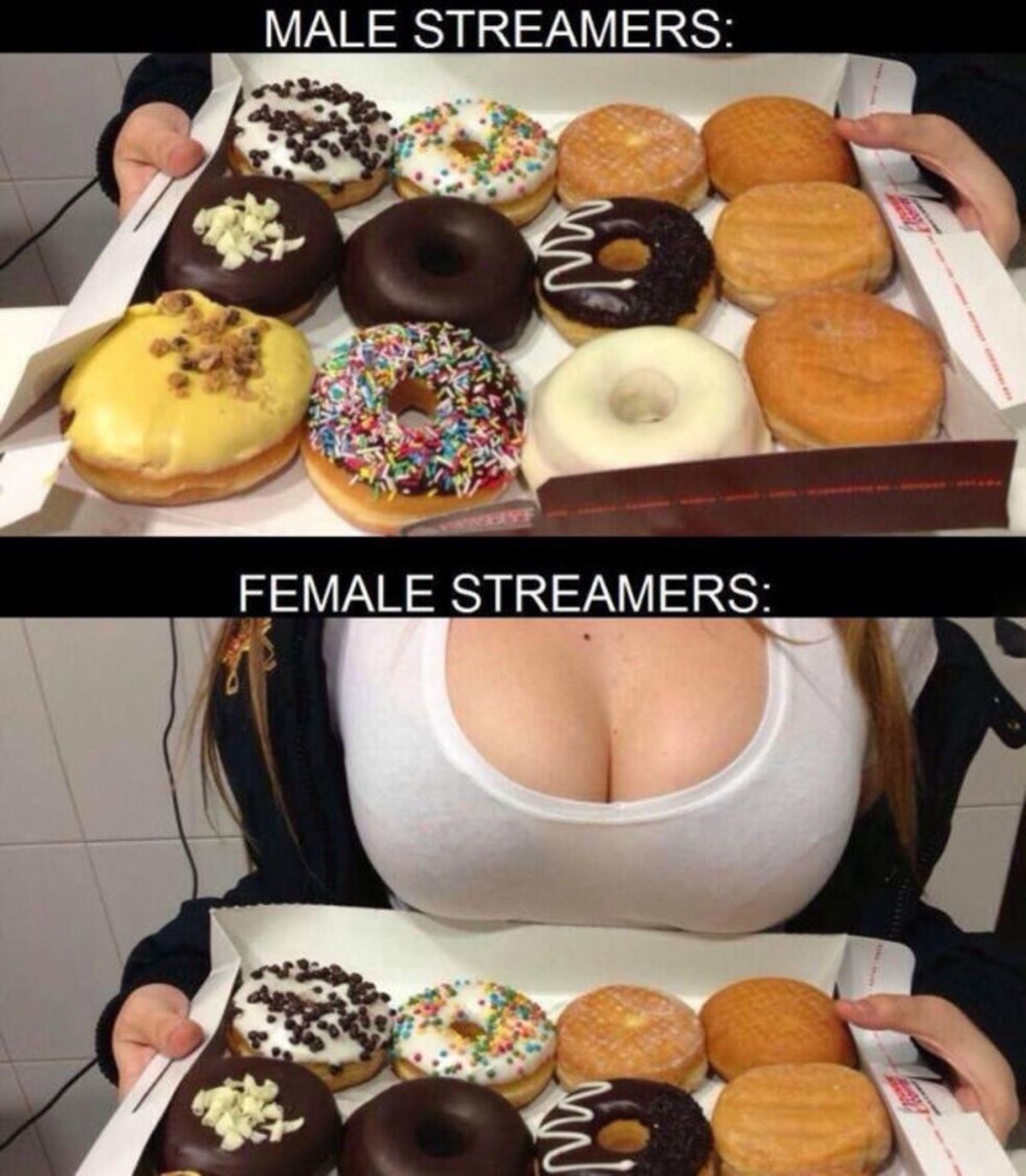 Obrázek Male streamers vs female streamers