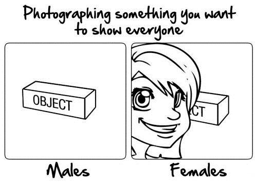 Obrázek Males vs Females III