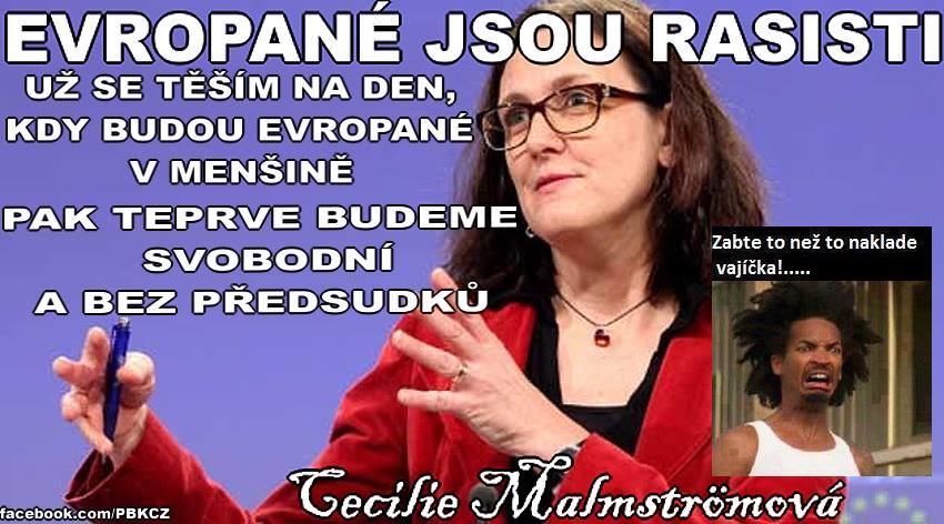 Obrázek Malmstromova SW