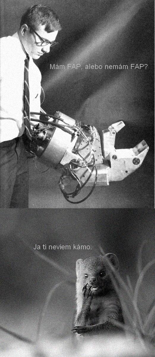 Obrázek Mam fap alebo nemam fap