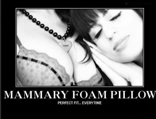 Obrázek Mammary Foam Pillow 04-04-2012