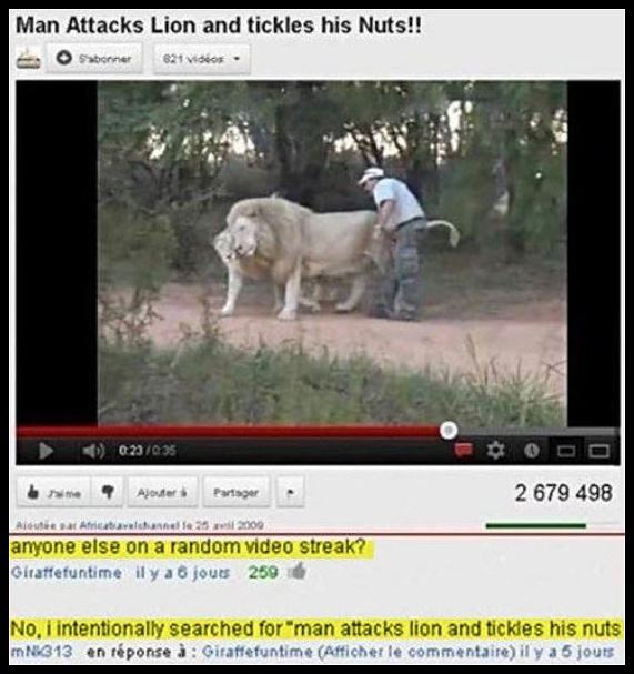 Obrázek Man Attacks Lions