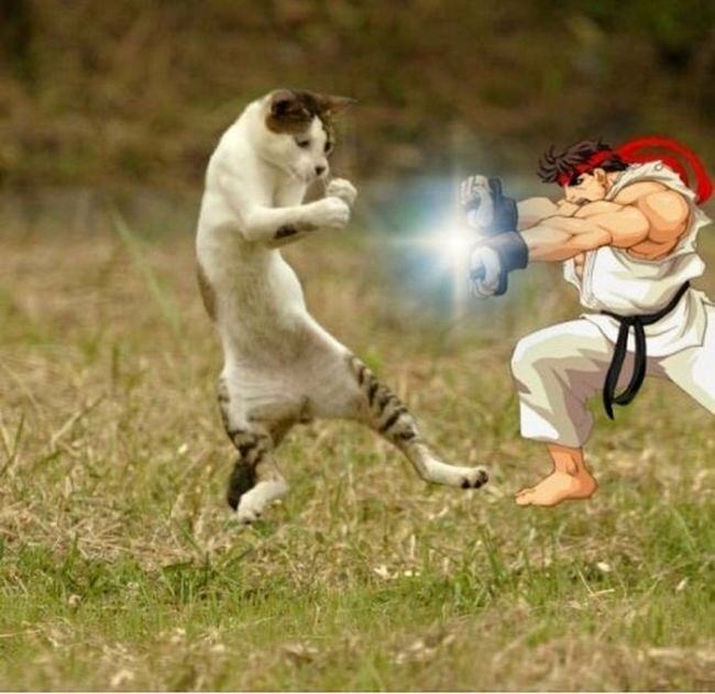 Obrázek Mana
