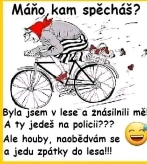 Obrázek ManaJedeDoLesa