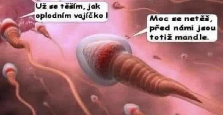 Obrázek MandloveOrechy
