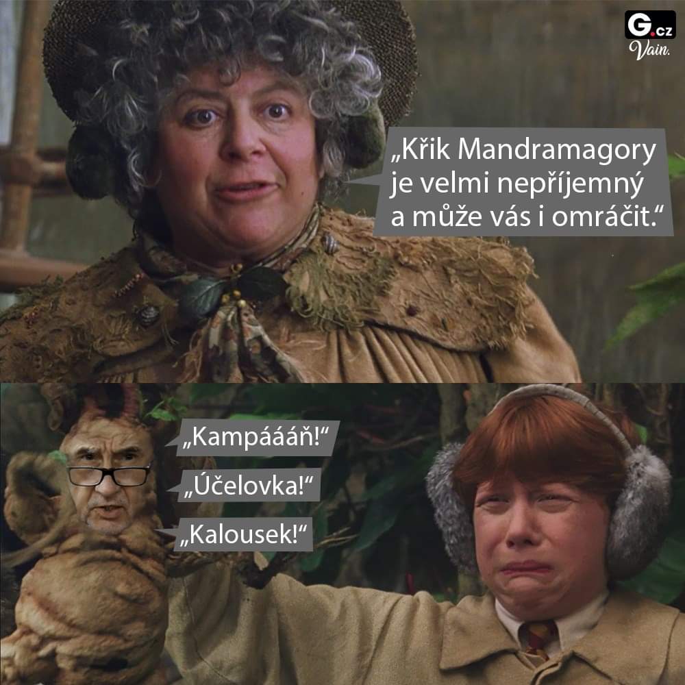 Obrázek Mandragora