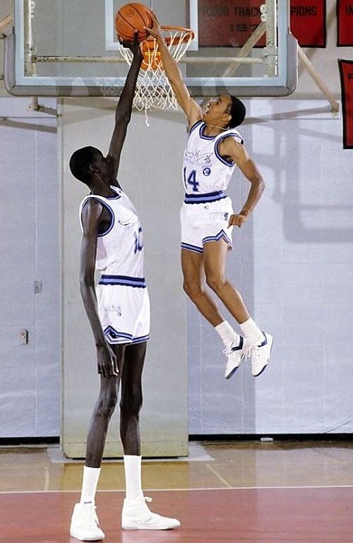 Obrázek Manute Bol - the Tallest NBA Player1 