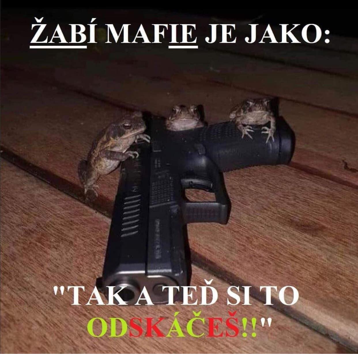 Obrázek Marne jsem doufal ze se nedo C5 BCiju doby kdy se bude be like do  C4 87estiny prekladat je jako