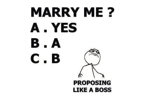 Obrázek Marriage-Quotes-proposing-like-a-boss