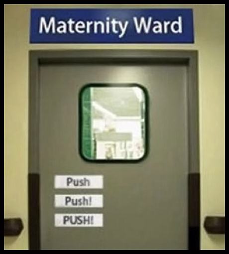 Obrázek Maternity Ward  