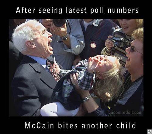 Obrázek McCain bites