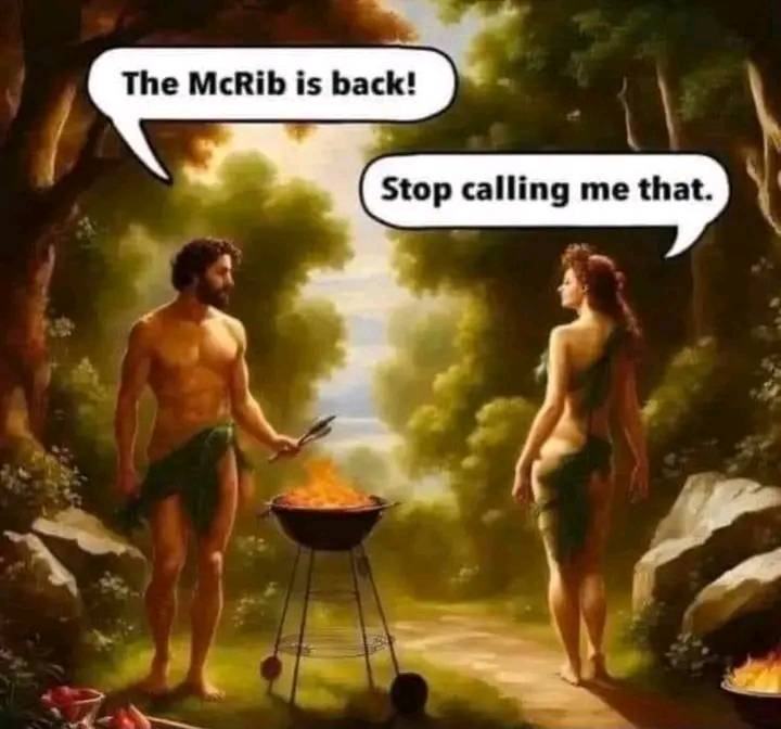 Obrázek McRib