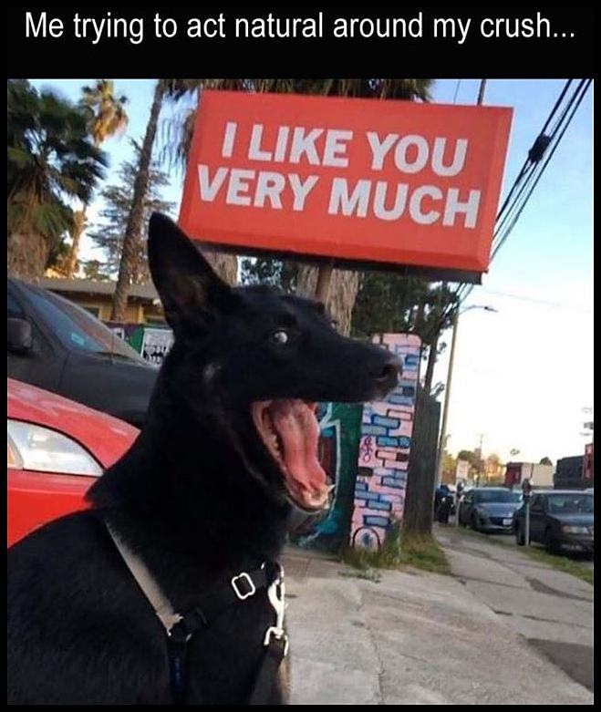 Obrázek Me Acting Naturally Around My Crush