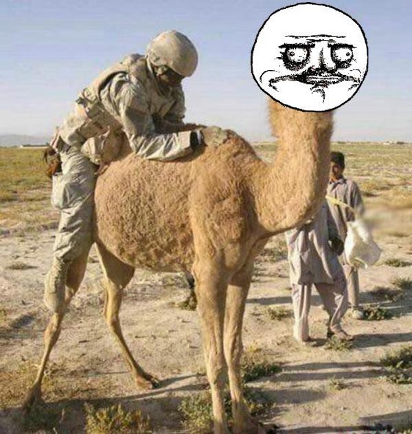 Obrázek Me Gusta camel
