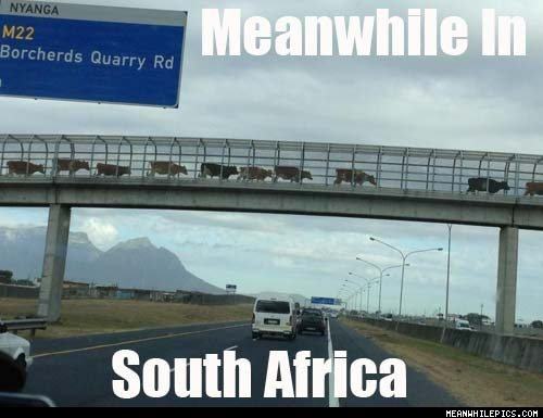 Obrázek Meanwhile In South Africa