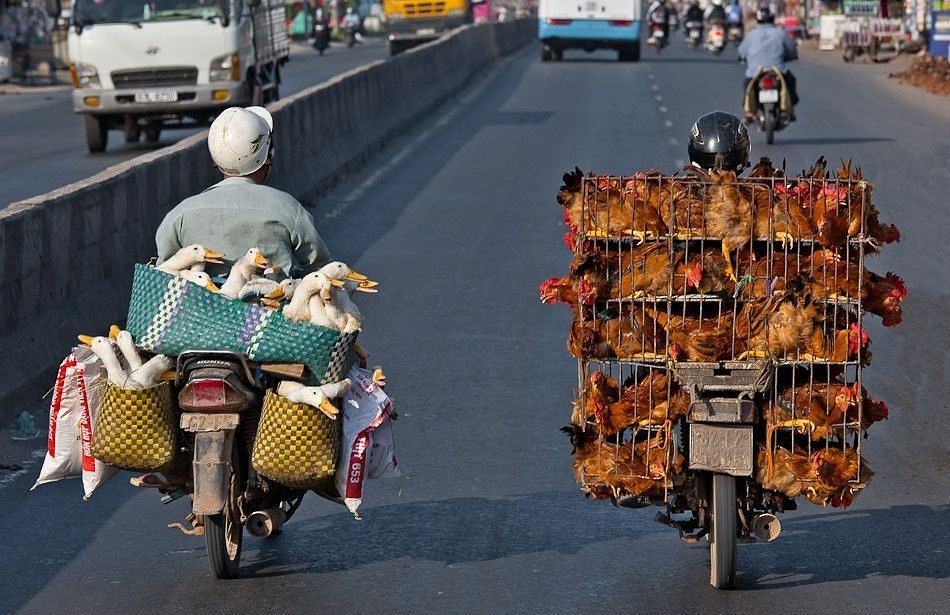 Obrázek Meanwhile in Vietnam 12-01-2012