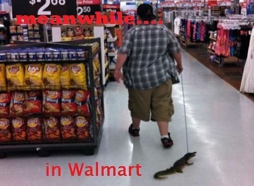 Obrázek Meanwhile in Walmart - 15-06-2012