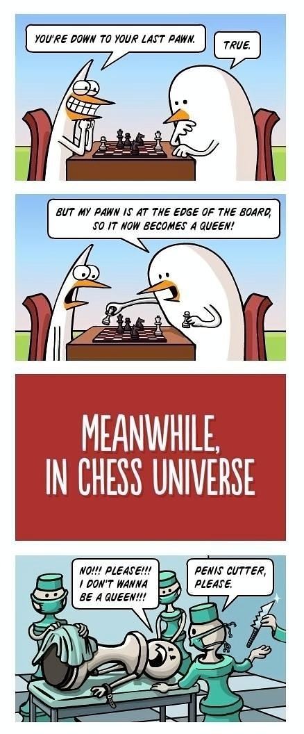 Obrázek Meanwhile in chess universe 