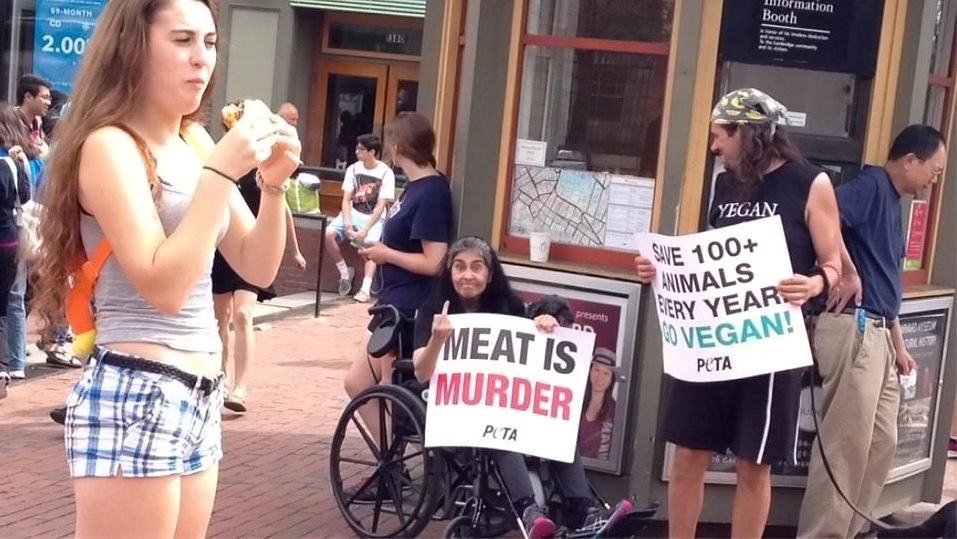 Obrázek Meat is murder. 
