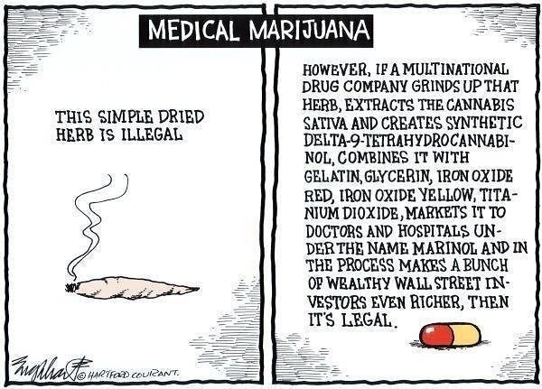 Obrázek Medical Marijuana 10-03-2012