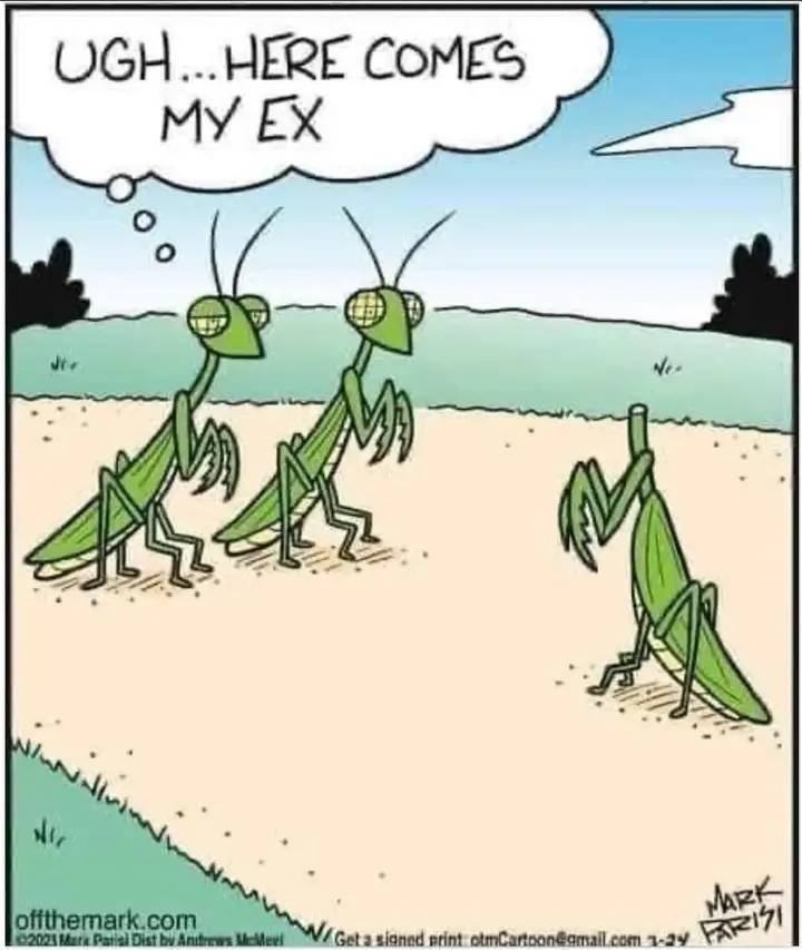 Obrázek MeetingEx