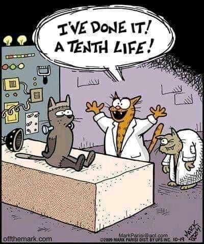 Obrázek Mici Frankenstein