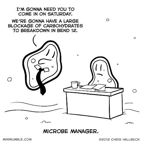 Obrázek Microbe manager - 17-05-2012
