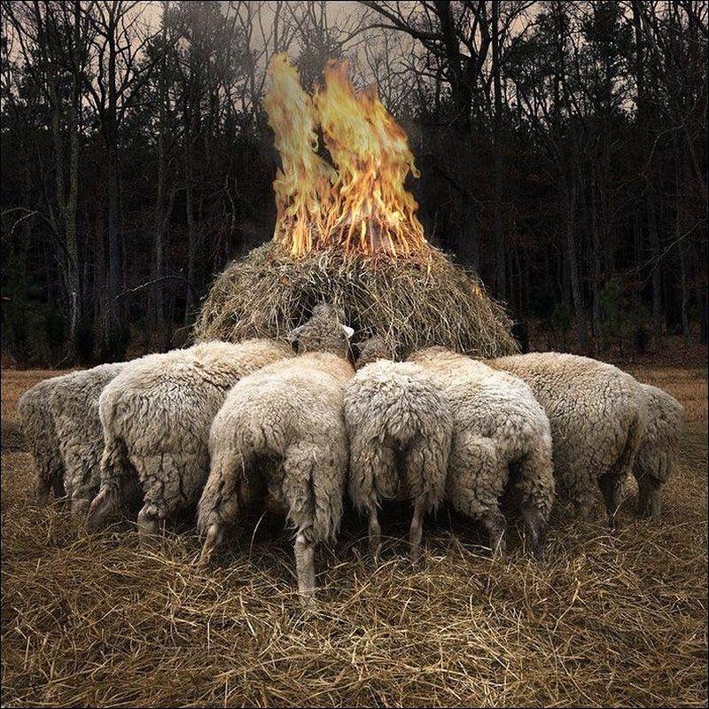 Obrázek Milujeme flambovane seno
