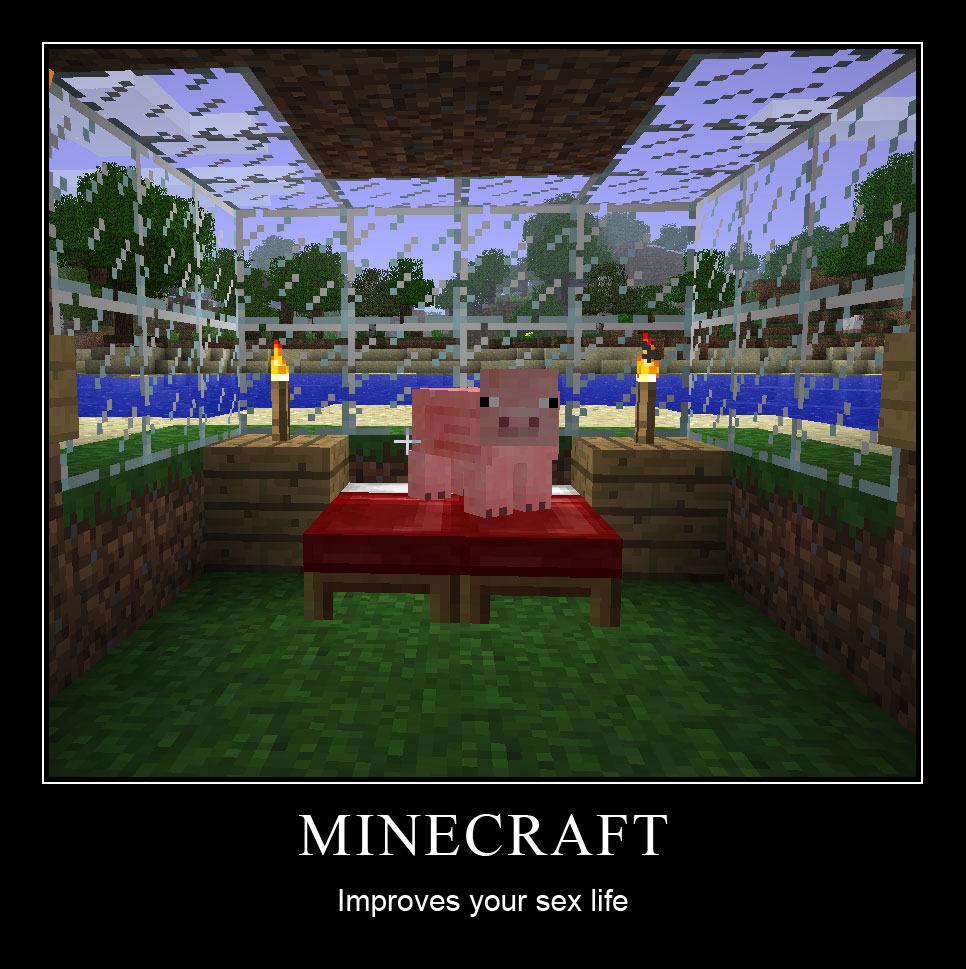 Obrázek Minecraft---improves-sex-life