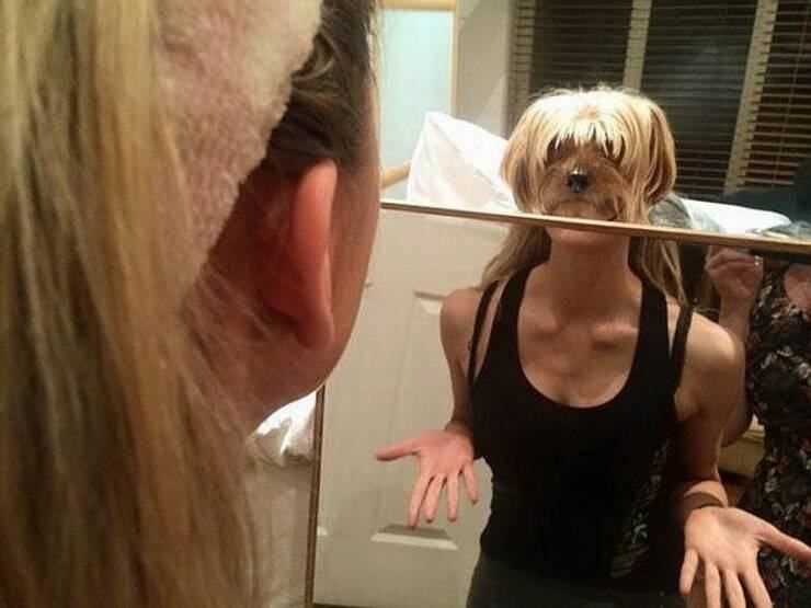Obrázek Mirror