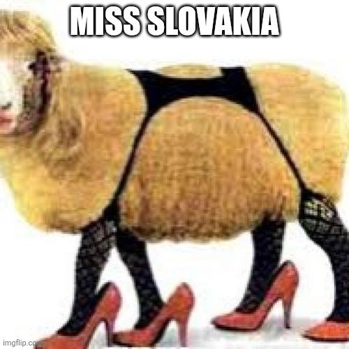Obrázek Miss Slovakia