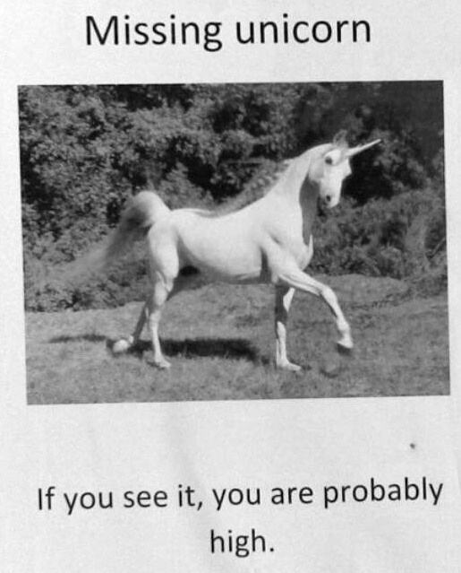 Obrázek Missing Unicorn