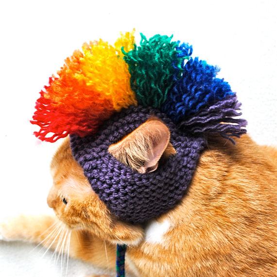 Obrázek Mohawk Cat Hat - Purple and Rainbow 22-12-2011