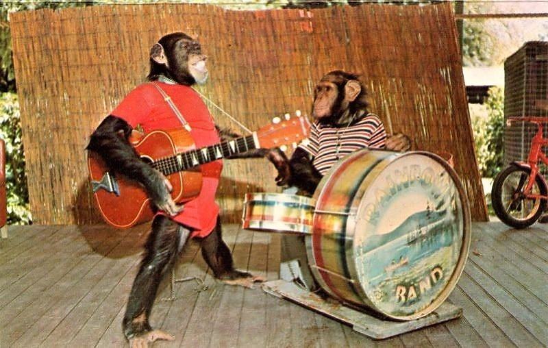 Obrázek Monkeys band