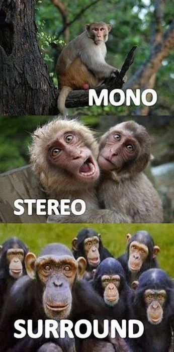 Obrázek Mono-Stereo and 17-02-2012