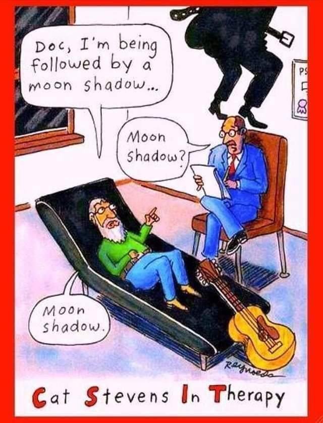 Obrázek Moon shadow