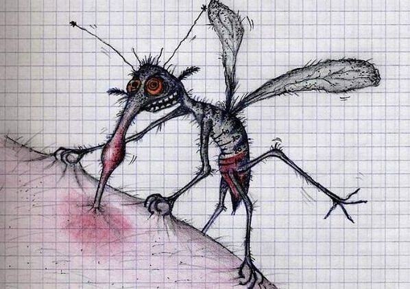 Obrázek Mosquitos