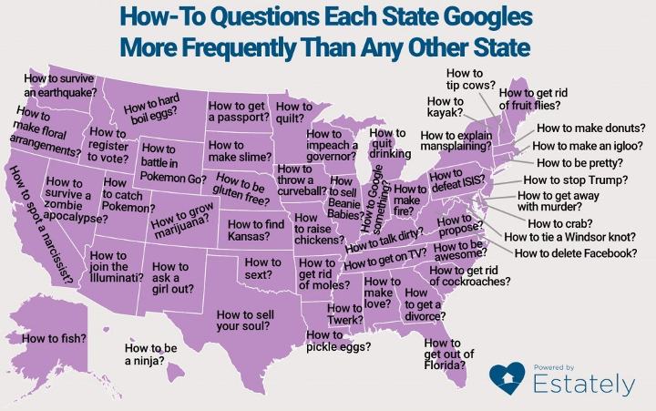 Obrázek Most googled questions in states - Poor Florida - T-