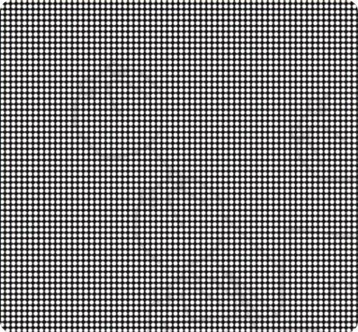 Obrázek Move your head back and see yourself