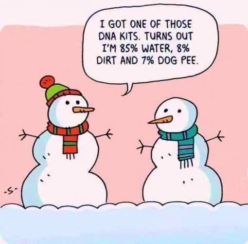 Obrázek Mr Snowman