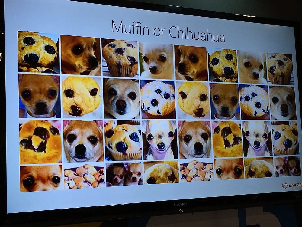 Obrázek Muffin or Chihuahua
