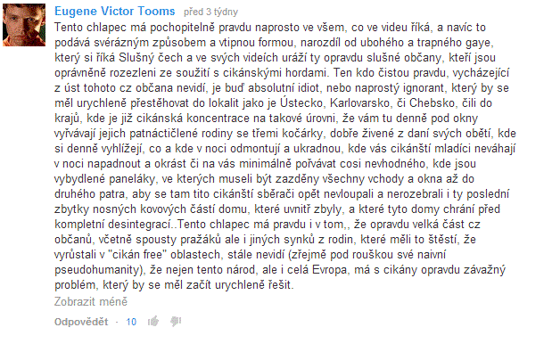 Obrázek Muj nazor na cikany - profesijonal