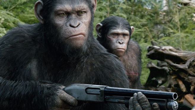 Obrázek Murica-today