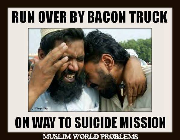 Obrázek Muslim world problem