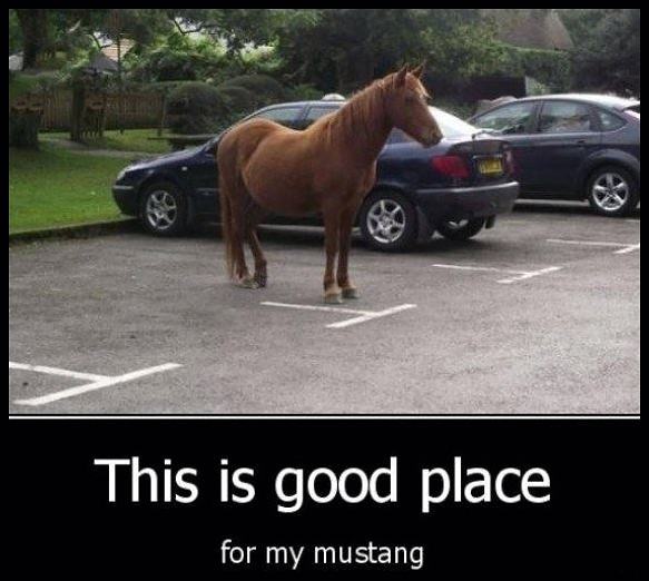 Obrázek Mustang Parking